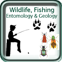 Wildlife, Fishing, Entomoloty & Geology