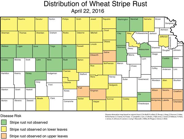 Distribution of Stripe Rust 4-22-16