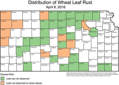 leaf rust distribution map 4-8-16