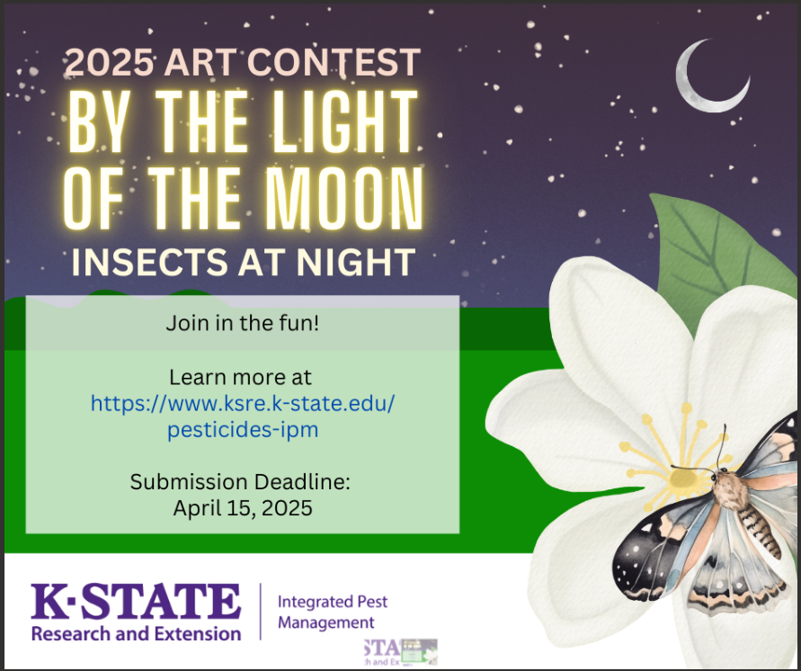 KSU Art Contest