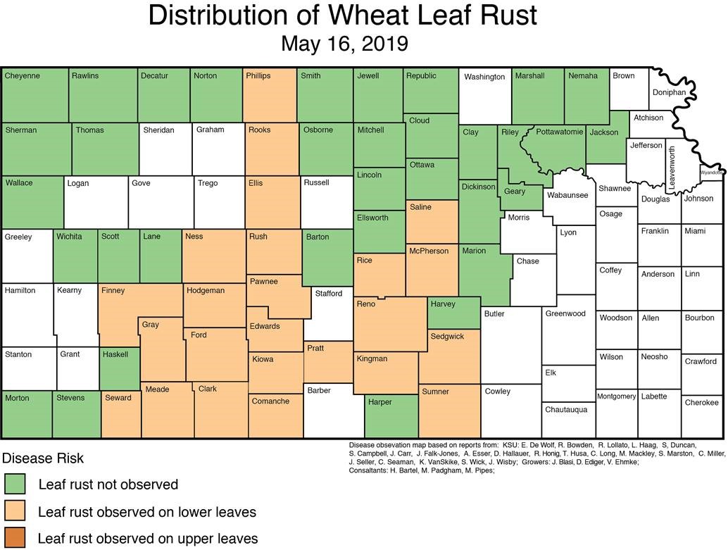 leaf rust map 05162019