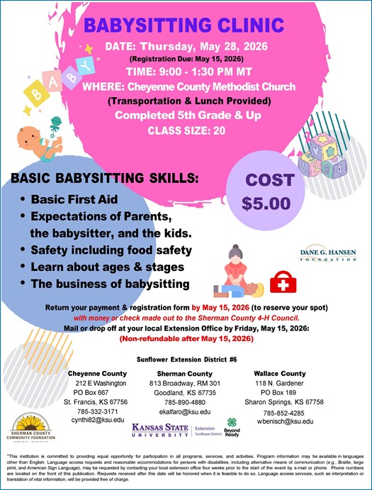 Babysitting Clinic
