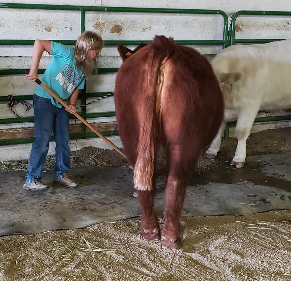 Beef Project