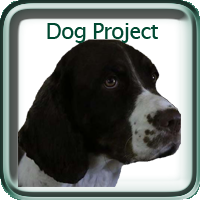 4-H Dog Project