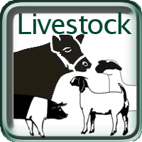 livestock