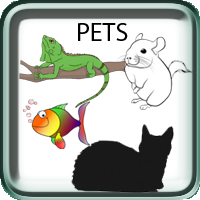 Pets, Cats, Aquairum