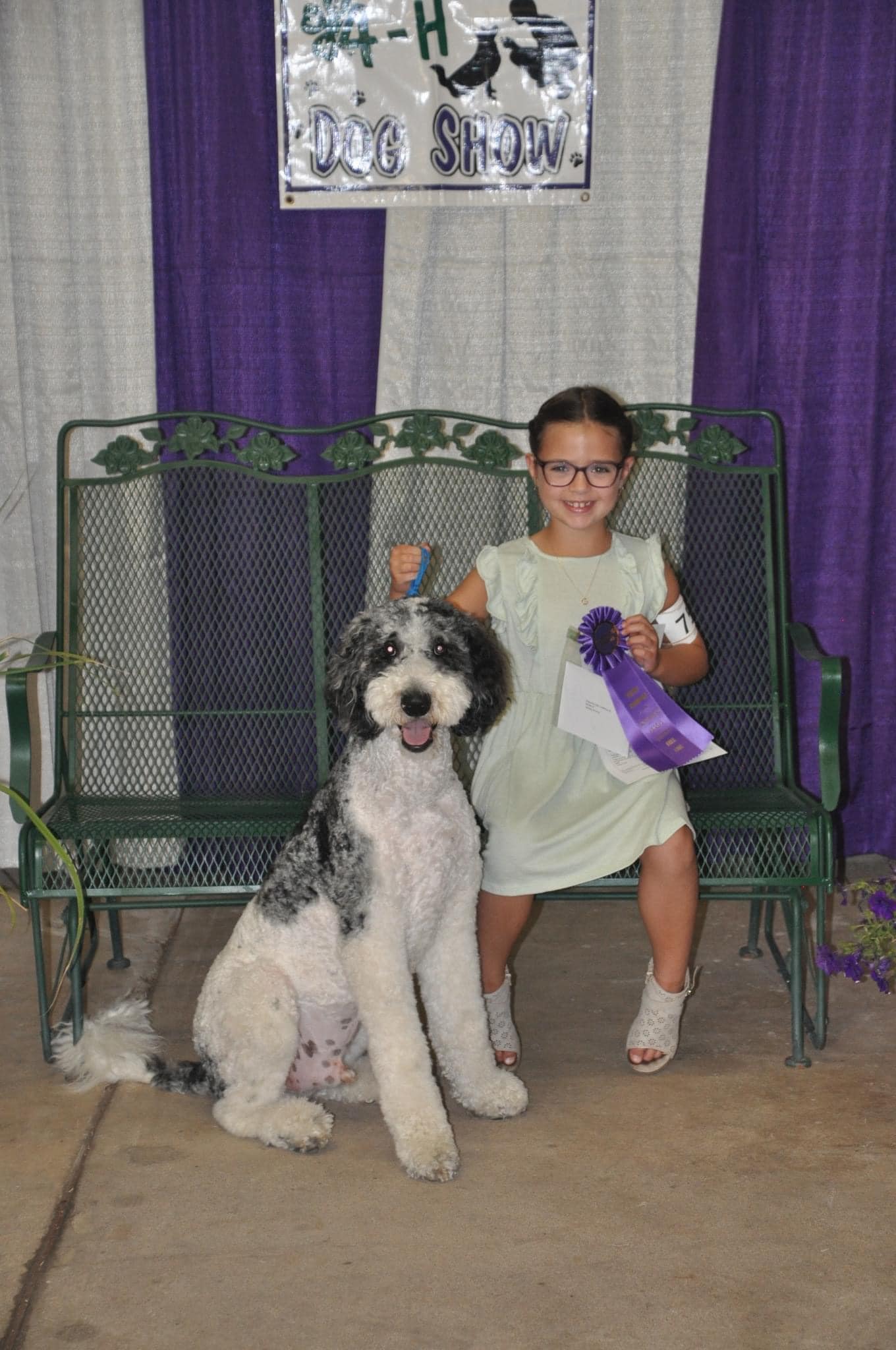 Dog Project