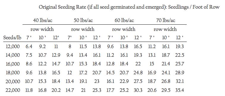 Redrilling seeding_germinated