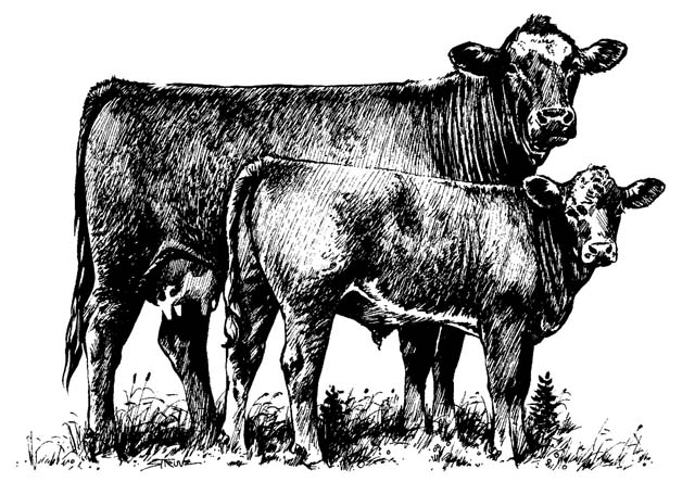 livestock