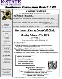 Feb Newsletter