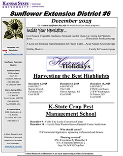 December Newsletter